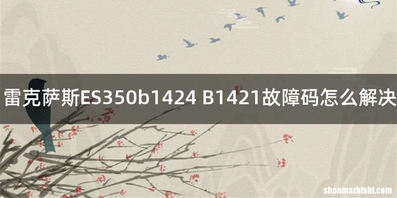 雷克萨斯ES350b1424 B1421故障码怎么解决