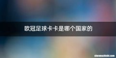欧冠足球卡卡是哪个国家的