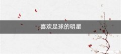 喜欢足球的明星