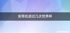 安哥拉进过几次世界杯