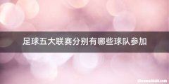足球五大联赛分别有哪些球队参加