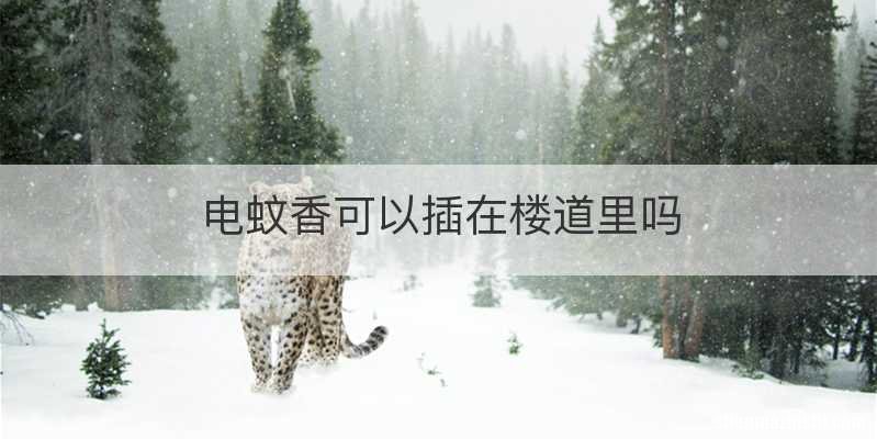 电蚊香可以插在楼道里吗