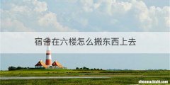 宿舍在六楼怎么搬东西上去