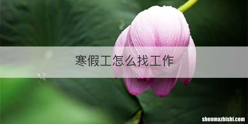 寒假工怎么找工作