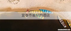 宜春市最好的酒店