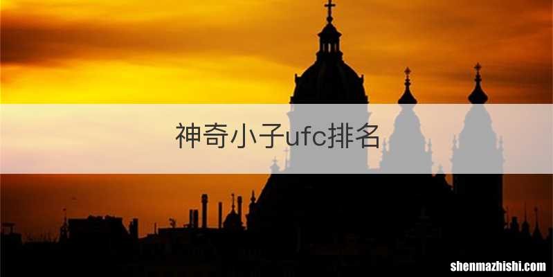 神奇小子ufc排名