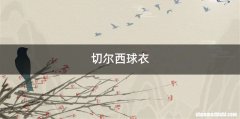 切尔西球衣