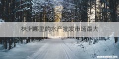 株洲哪里的水产批发市场最大