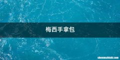 梅西手拿包