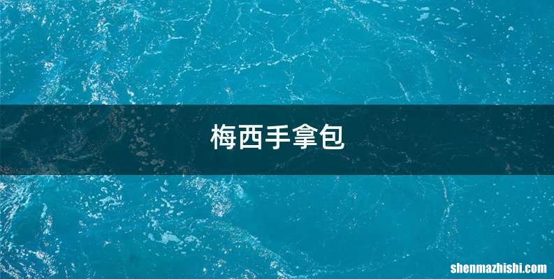 梅西手拿包