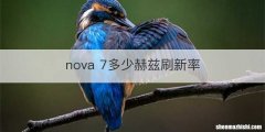nova 7多少赫兹刷新率