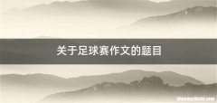 关于足球赛作文的题目