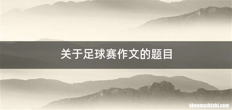 关于足球赛作文的题目