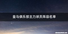 皇马俱乐部主力球员阵容名单