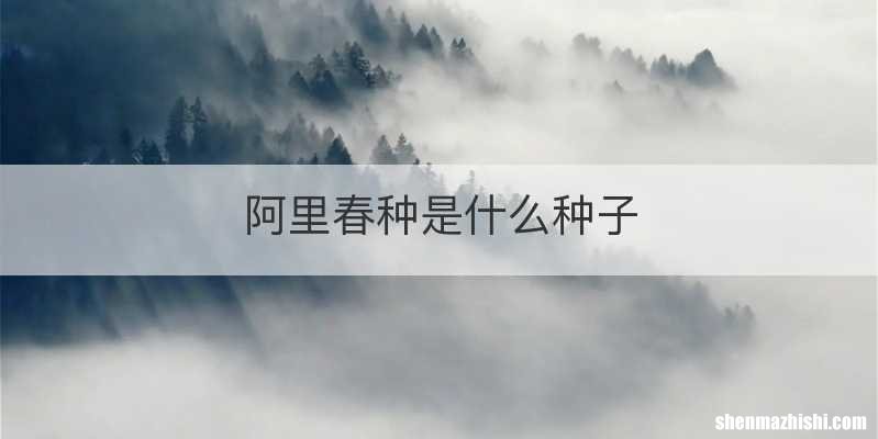 阿里春种是什么种子