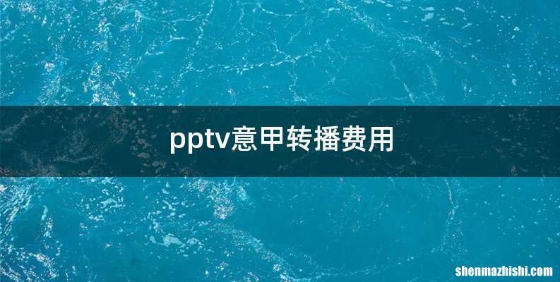 pptv意甲转播费用
