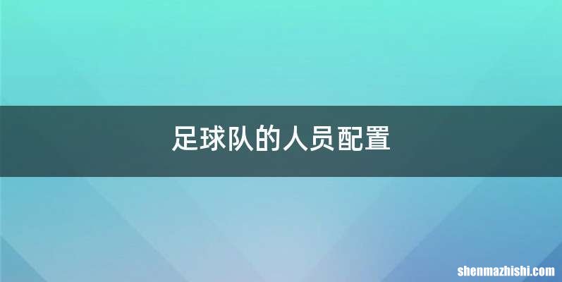 足球队的人员配置