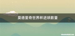 莫德里奇世界杯进球数量