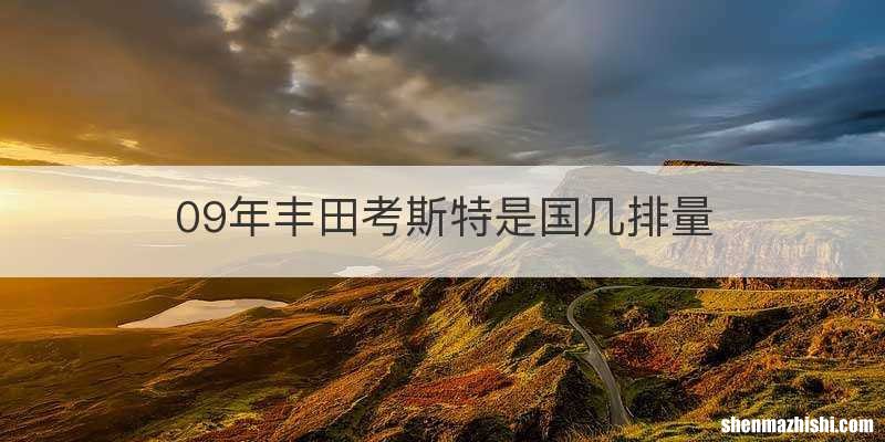09年丰田考斯特是国几排量