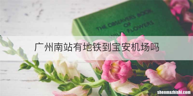 广州南站有地铁到宝安机场吗