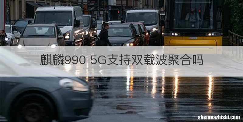 麒麟990 5G支持双载波聚合吗