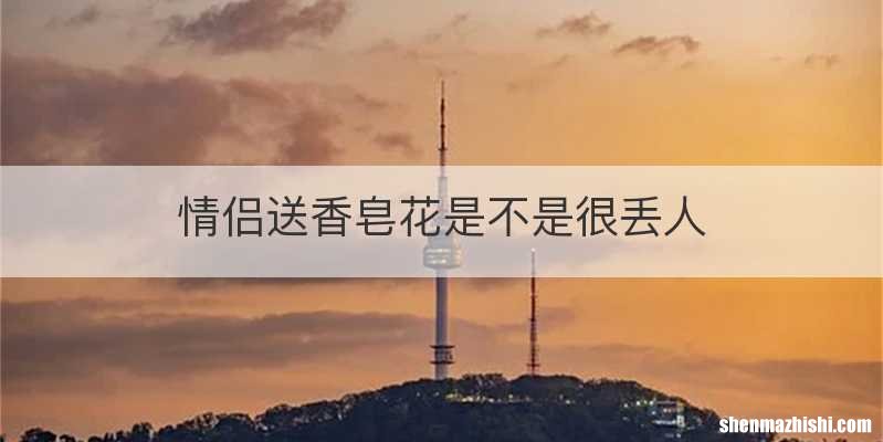 情侣送香皂花是不是很丢人