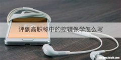 评副高职称中的控辍保学怎么写