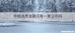 中银消费金融只有一家公司吗