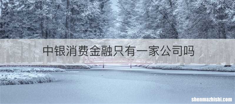 中银消费金融只有一家公司吗