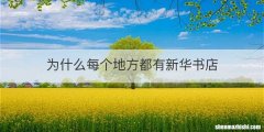 为什么每个地方都有新华书店