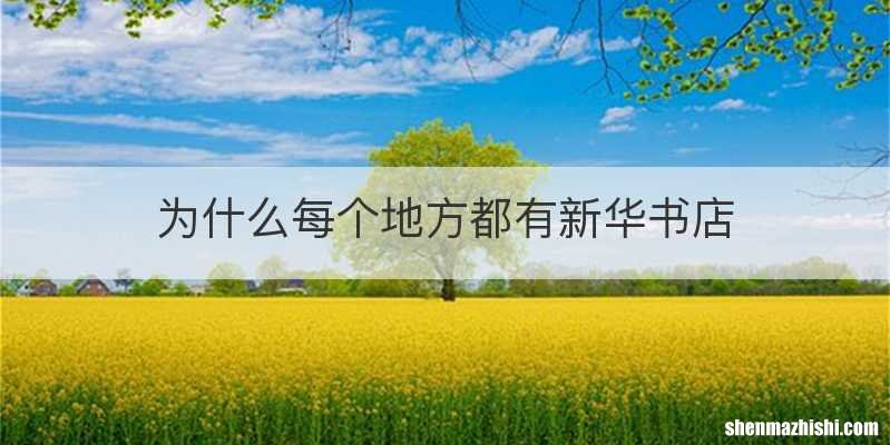 为什么每个地方都有新华书店