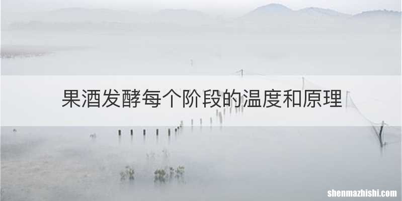 果酒发酵每个阶段的温度和原理