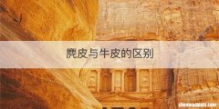 麂皮与牛皮的区别