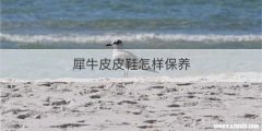 犀牛皮皮鞋怎样保养