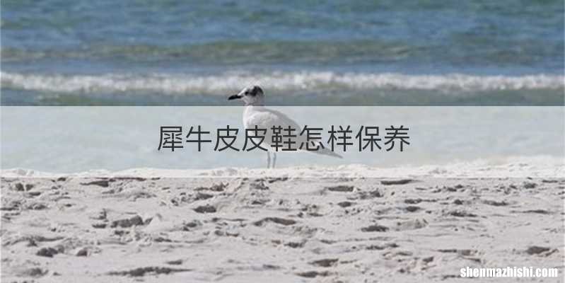 犀牛皮皮鞋怎样保养
