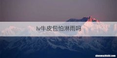 lv牛皮包怕淋雨吗