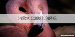 鸿蒙30公测版如何降级