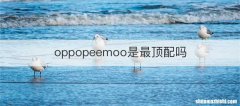 oppopeemoo是最顶配吗