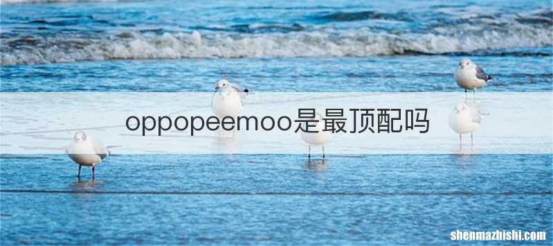 oppopeemoo是最顶配吗