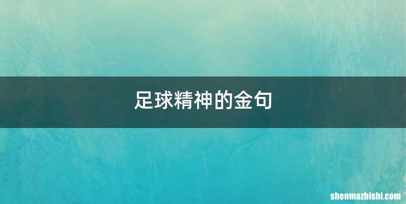 足球精神的金句