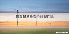 蝶翼斑马鱼适合弱碱性吗