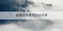蝶翼斑马鱼可以冷水养