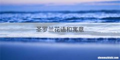 圣罗兰花语和寓意