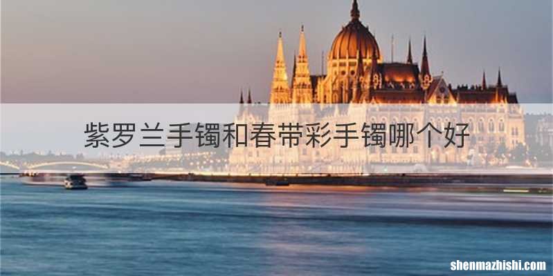 紫罗兰手镯和春带彩手镯哪个好