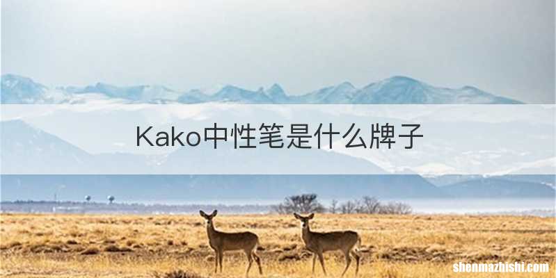 Kako中性笔是什么牌子