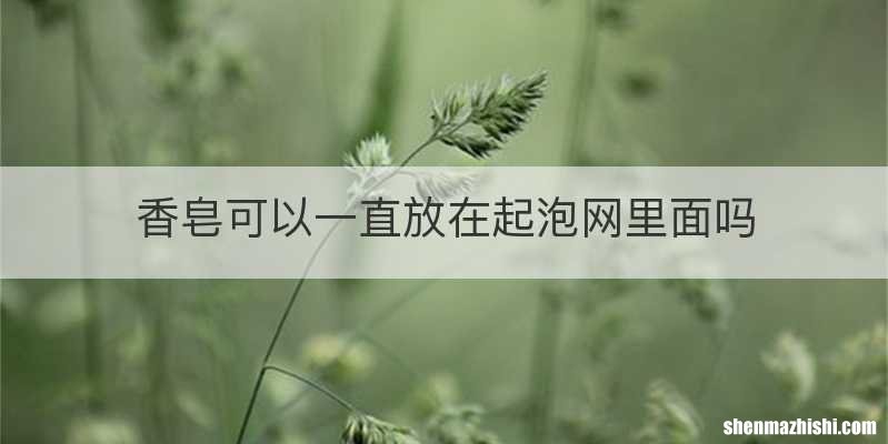 香皂可以一直放在起泡网里面吗