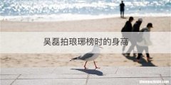 吴磊拍琅琊榜时的身高