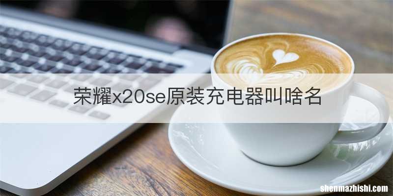 荣耀x20se原装充电器叫啥名