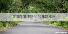 湖南生育津贴2022年新标准