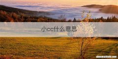 小cc什么意思